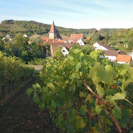 Апартаменты Weingut Will Und Wuerz Lemberger Schwaigern Экстерьер фото